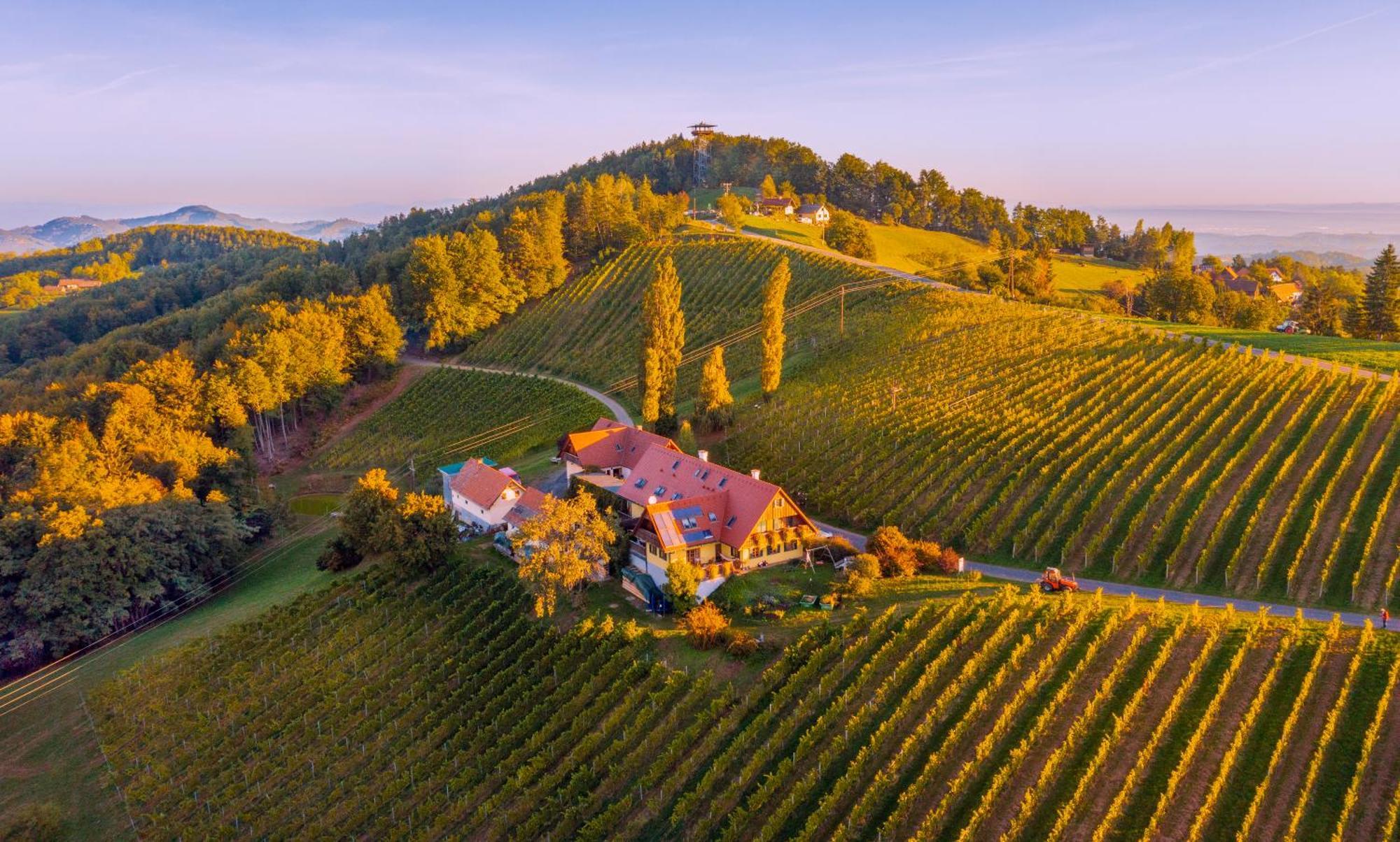 Weingut Winzerzimmer Rothschaedl 루트스카치 외부 사진