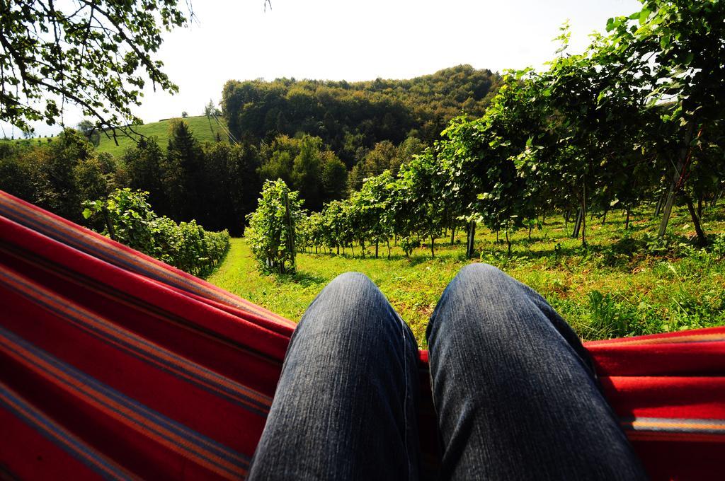 Weingut Winzerzimmer Rothschaedl 루트스카치 외부 사진