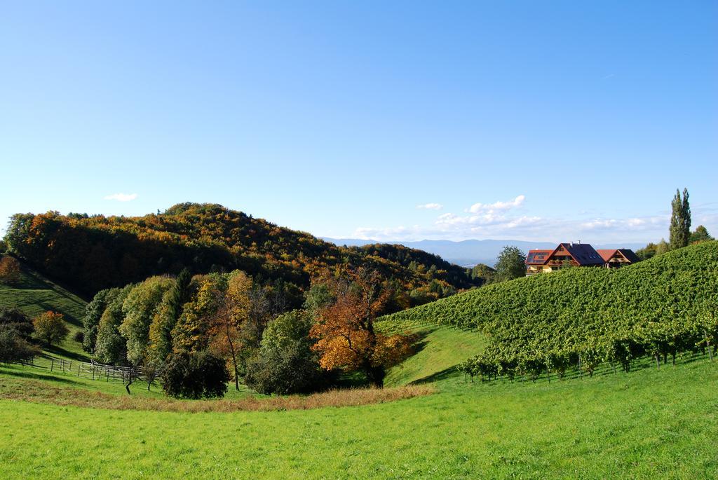 Weingut Winzerzimmer Rothschaedl 루트스카치 외부 사진