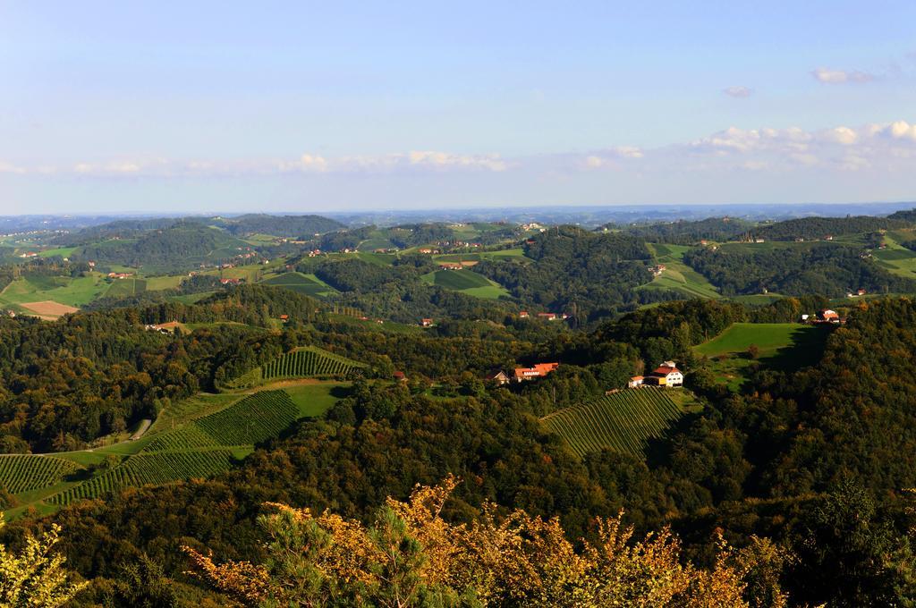 Weingut Winzerzimmer Rothschaedl 루트스카치 외부 사진